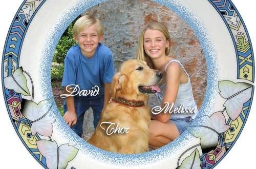 Prato de Cerâmica com Borda Decorada para Sublimação - Modelo 2 - 20,3 cm